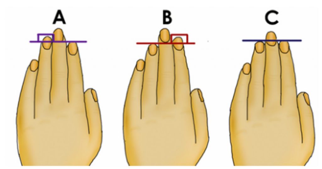 Spójrz na swoją lewą dłoń, długość palców mówi wiele o Twoim ...