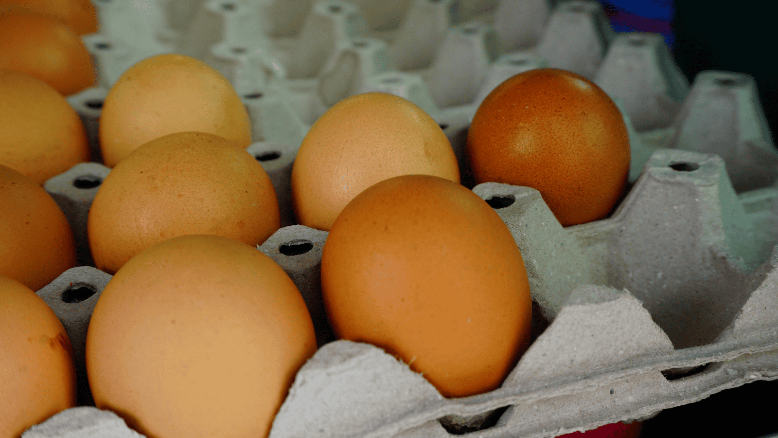 Wiadomo, skąd pochodzą jajka z Lidla i Biedronki. Konsumenci powinni o tym wiedzieć